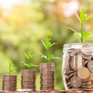 financial information website India to grow smart